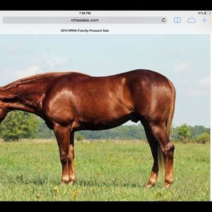 Meet your Posher, Jeff